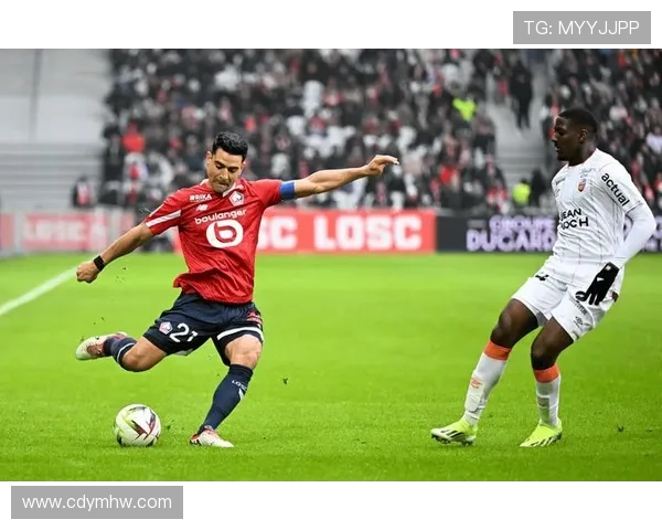 以里尔足球俱乐部为核心的法甲劲旅崛起与青训传奇之路六年征程史