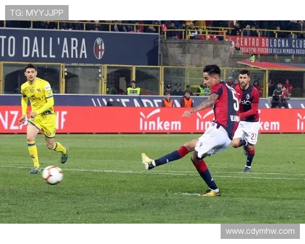 博洛尼亚俱乐部百年传承与现代足球崛起之路全景解析战略发展与文化影响